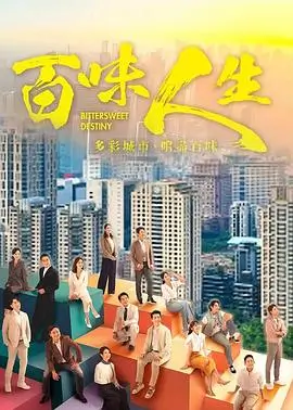 锦绣人生 海报